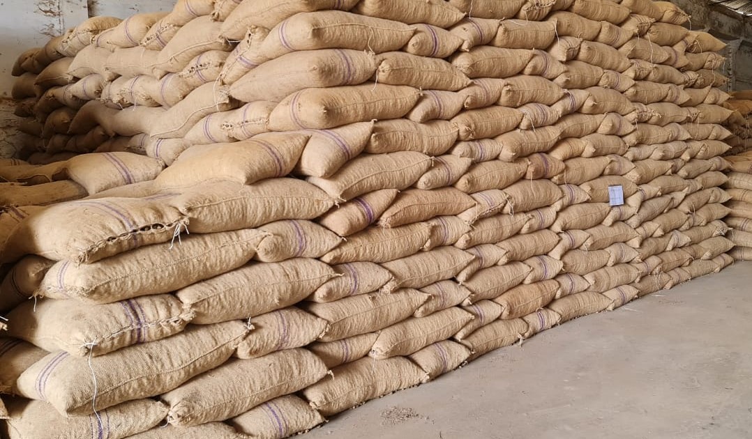 Agricultural Export Company Ghana